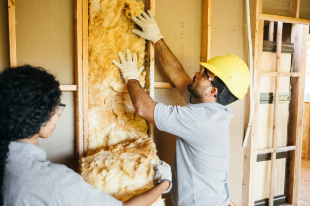 Best Eco-Friendly or Green Insulation Solutions  in Lake Barrington, IL